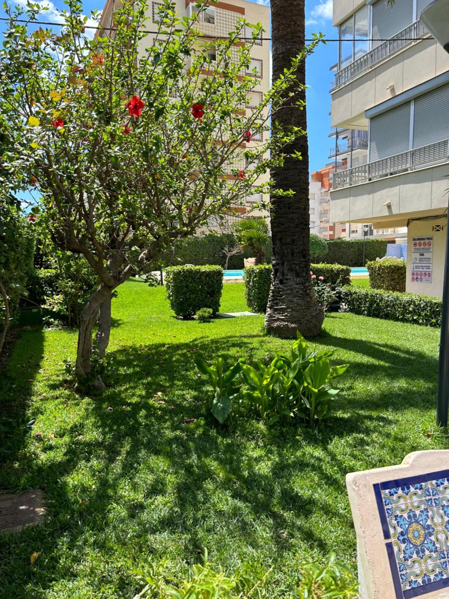 Apartamento Gandia Playa 150M Playa Con Parking Privado Y Piscina Playa de Gandia Екстериор снимка